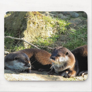 OTTERS MOUSE PAD