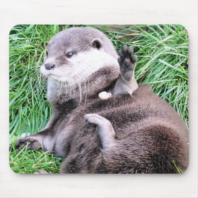 OTTERS MOUSE PAD (Front)