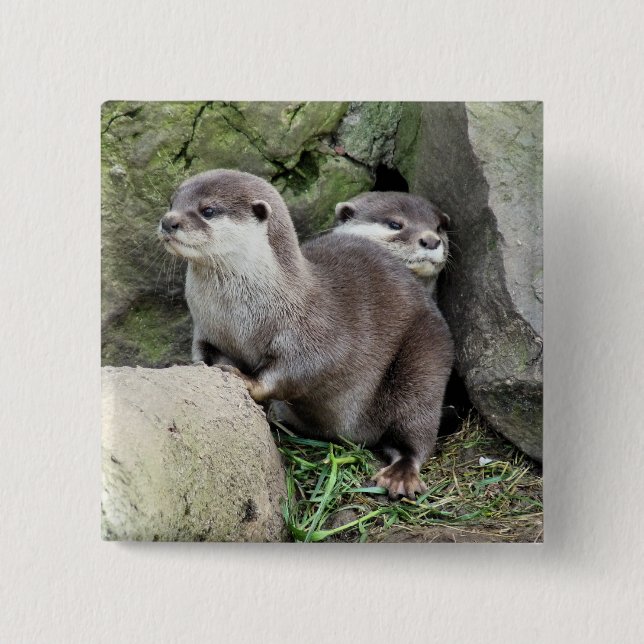 OTTERS PINBACK BUTTON (Front)