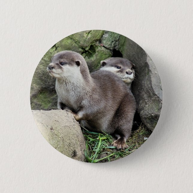 OTTERS PINBACK BUTTON (Front)