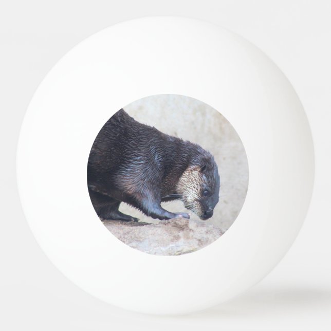 Otters  ping pong ball (Front)