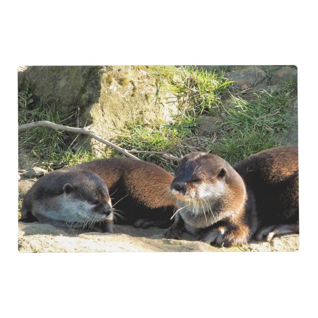 OTTERS PLACEMAT (Front)