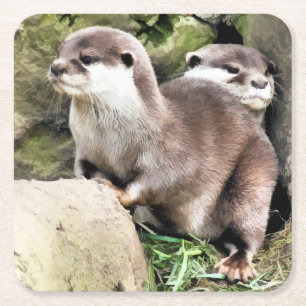 OTTERS SQUARE PAPER COASTER