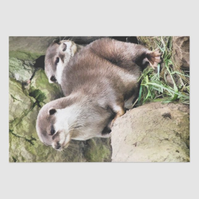 OTTERS TISSUE PAPER (Front)