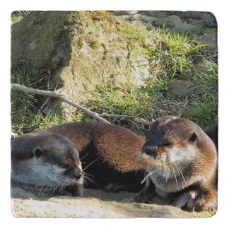 OTTERS TRIVET
