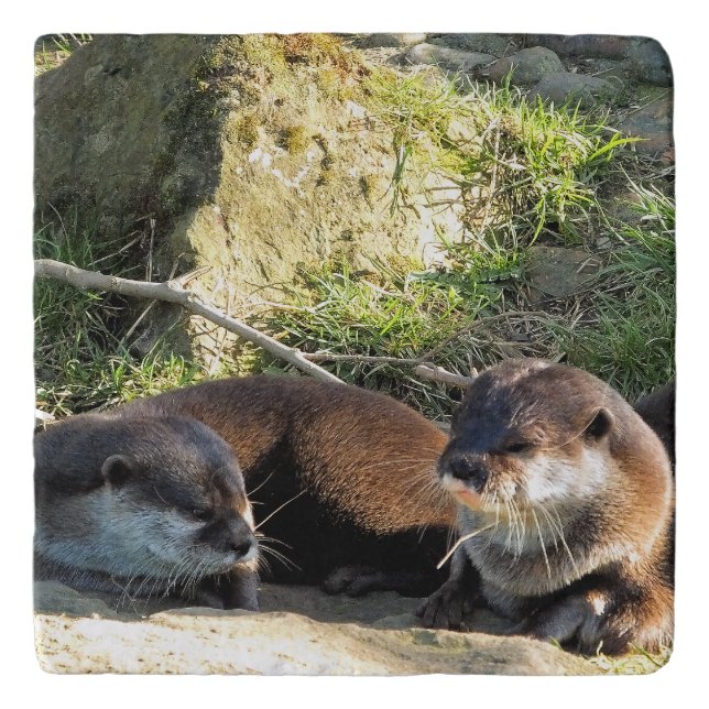 OTTERS TRIVET (Front)