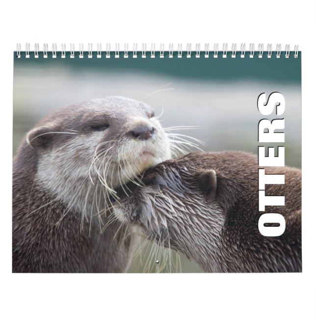 Otters Wall Calendar (Cover)