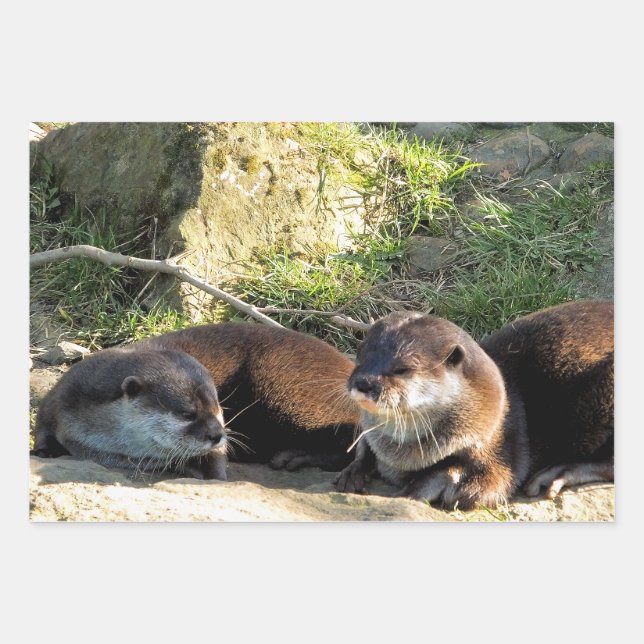OTTERS WRAPPING PAPER SHEETS (Front)