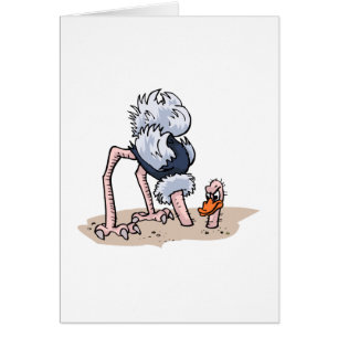 Otto von Ostrich Cards