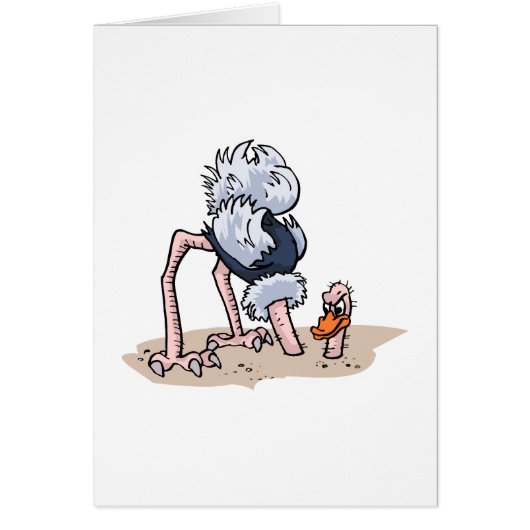 Otto von Ostrich Cards (Front)