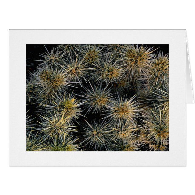 "Ouch Cluster" Cards (Front Horizontal)