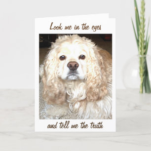 **OUR ANNIVERSARY** COCKER SPANIEL COMEDIAN CARD