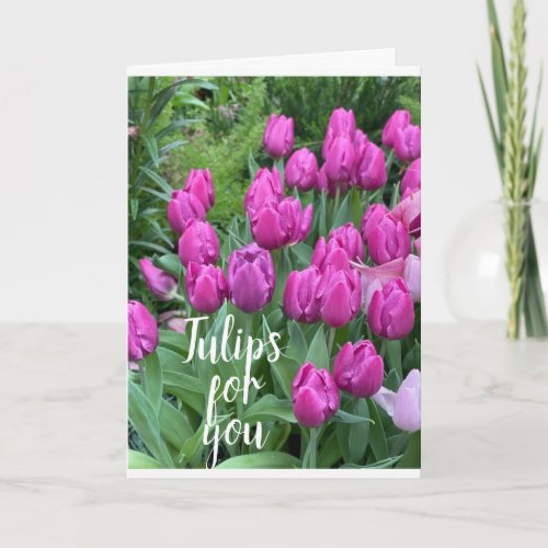 OUR ANNIVERSARY TULIPSALL MY LOVE TO YOU CARD