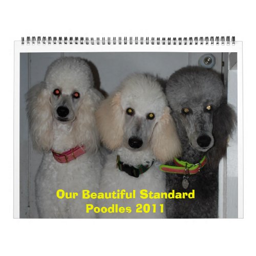 Our Beautiful Standard Poodles 2011 Calendar