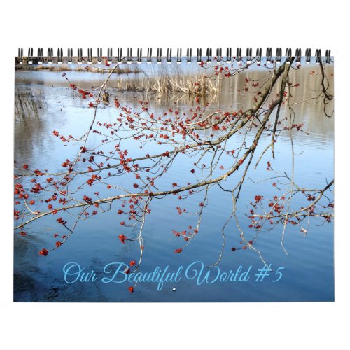 Our Beautiful World 5 Calendar