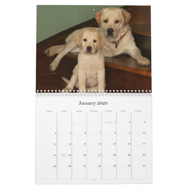 Our Best Friends 2009 Calendar (Jan 2026)