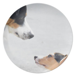 our best friends on four paws - serie 001 melamine plate