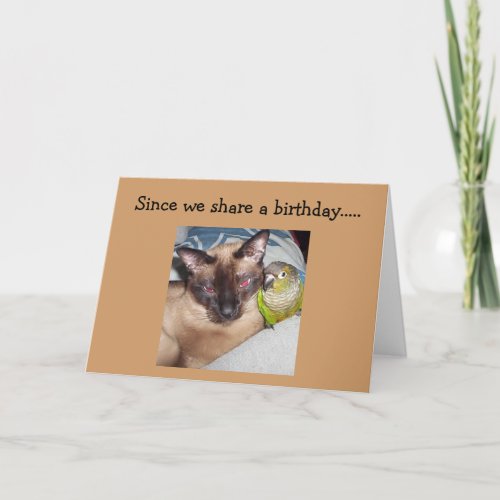 OUR BIRTHDAY IS HERE HOPE ITS PURR_FECT CARD