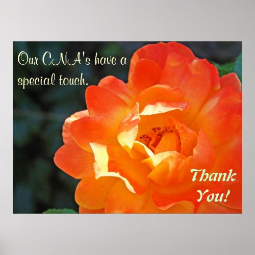 Our CNAs special touch Thank you poster art print