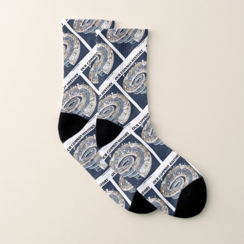Our Common History Earth History Timeline Spiral Socks
