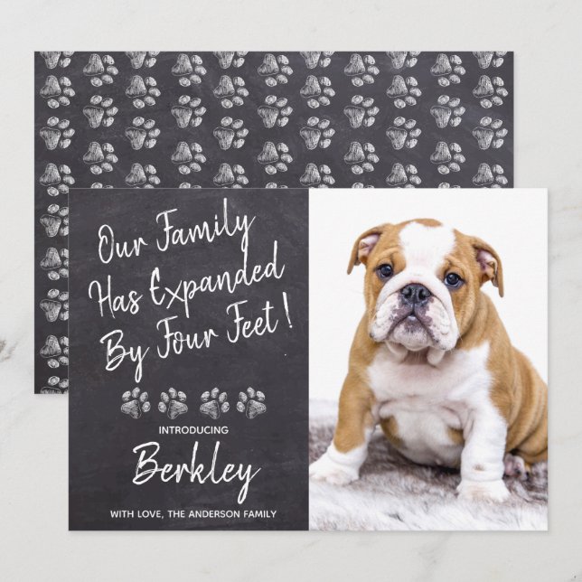 Our Family Expanded by Four Feet New Pet Puppy Dog Announcement (Front/Back)