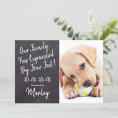 Our Family Four Feet New Pet Dog Puppy Shower Invitation (Standing Front)