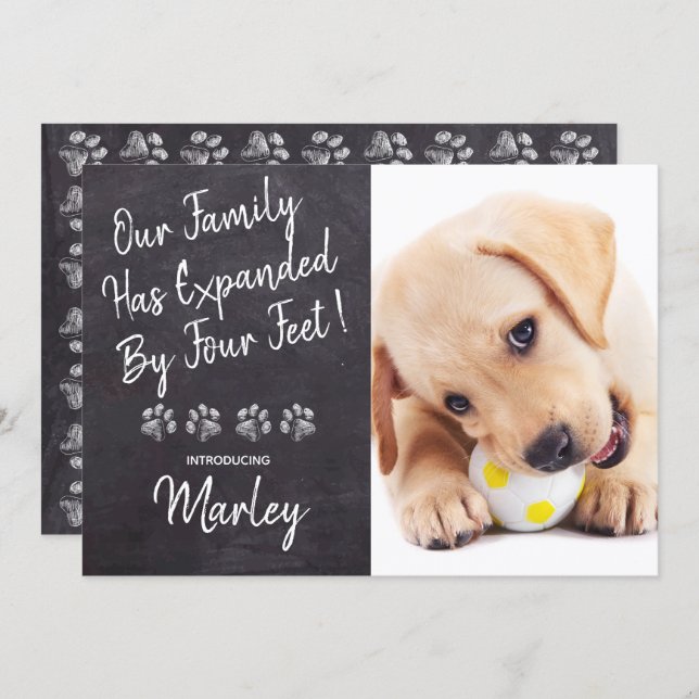 Our Family Four Feet New Pet Dog Puppy Shower Invitation (Front/Back)