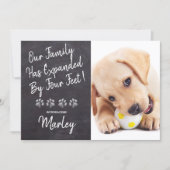 Our Family Four Feet New Pet Dog Puppy Shower Invitation (Front)