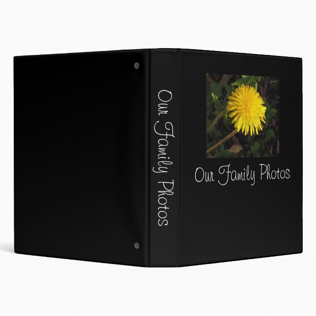 Our Family Photos Binder (Background)