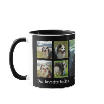 Our favorite hellos and hardest goodbyes pet photo