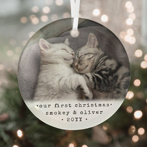 Our First Christmas 2 Cats or Any Pet Simple Photo Glass Ornament