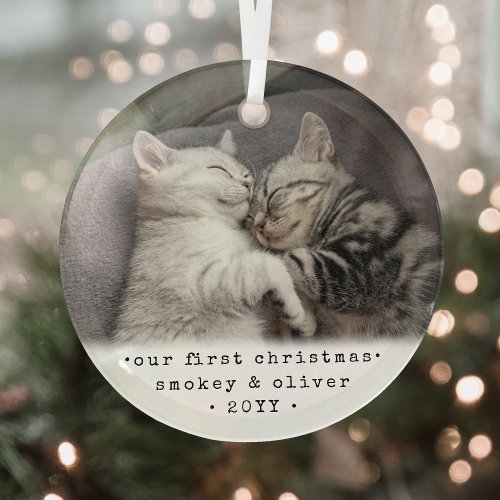 Our First Christmas 2 Cats or Any Pet Simple Photo Glass Ornament