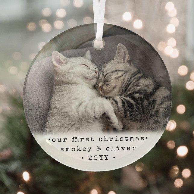 Our First Christmas 2 Cats or Any Pet Simple Photo Glass Ornament (Creator Uploaded)