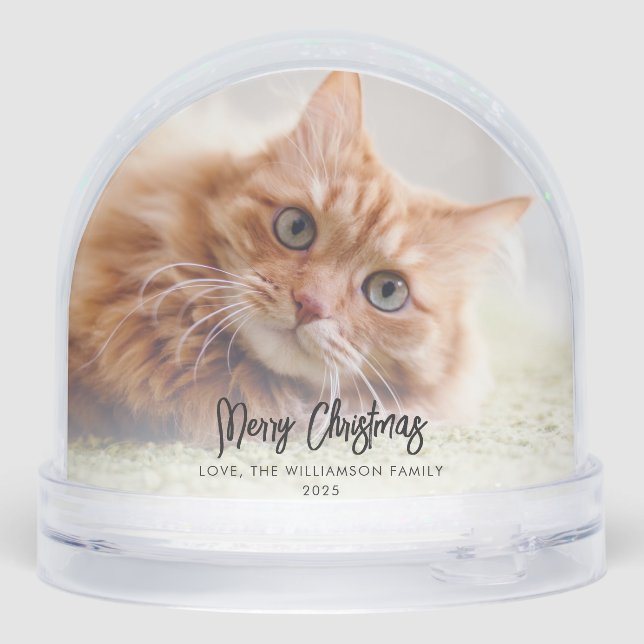 Our First Christmas as a Family Photos Custom Snow Globe (Back)