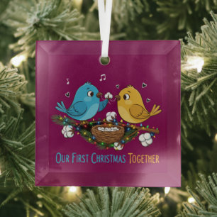 Our First Christmas Together Cute Lovebirds Glass Ornament
