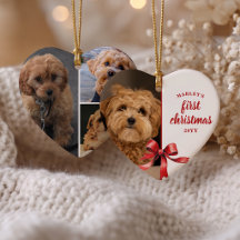 Our First Christmas with Our Puppy 4 Photo Red Bow