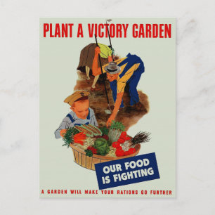 Our Food is Fighting Postcard