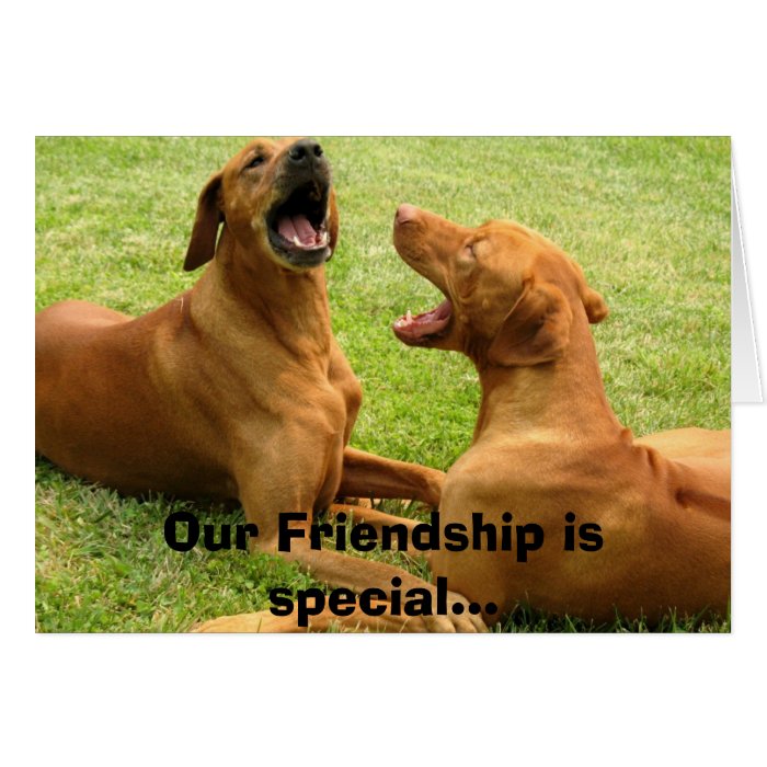 Our Friendship is specialGreeting Card