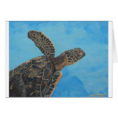 our hanu 5x6.5 300 (Front Horizontal)