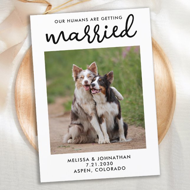 Our Humans Getting Married Custom Pet Photo Dog Save The Date (Creator Uploaded)
