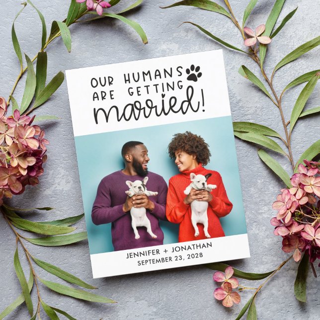 Our humans getting married dog photo save the date announcement postcard (Creator Uploaded)