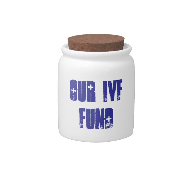 Our IVF Fund Cookie Jar (Front)