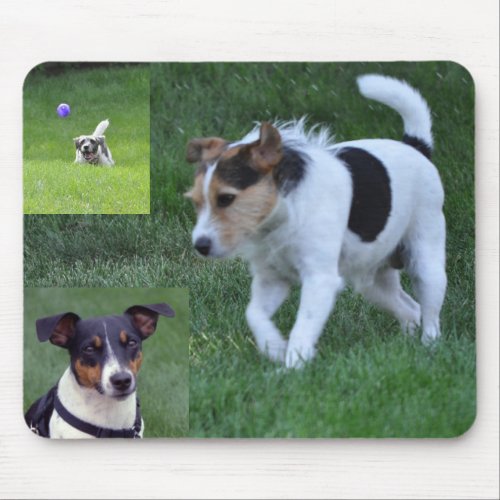 Our Jack Russell Terriers by Janz Mouse Pad