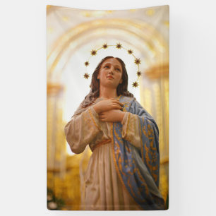 Our Lady of Conception Banner