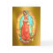 Our Lady of Guadalupe