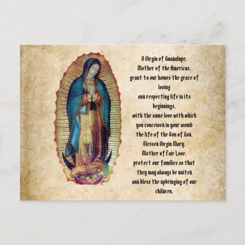 Our Lady of Guadalupe Nuestra Seora de Guadalupe Postcard