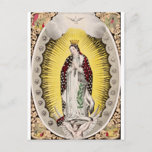 Our Lady of Guadalupe Postcard