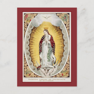 Our Lady of Guadalupe Postcard