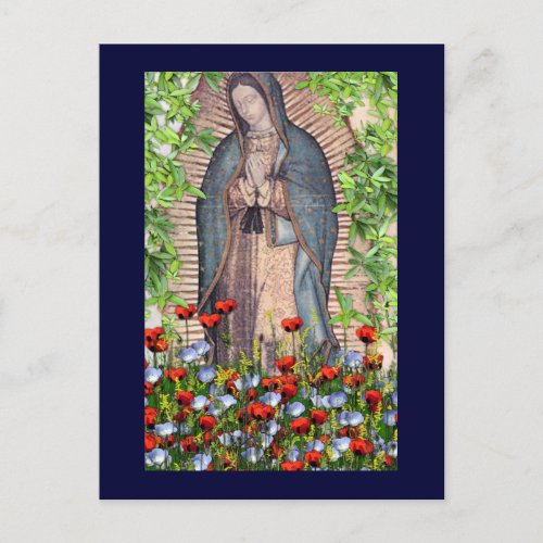 Our Lady of Guadelupe Postcard