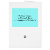 Our Lady Of Lourdes Blank Card (Back)